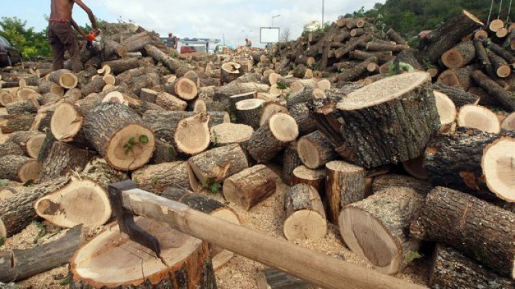 4 акта за нарушения съставиха горските във Варна