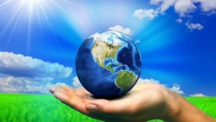 На 6 ноември ООН призовава за защита на природата от конфликти