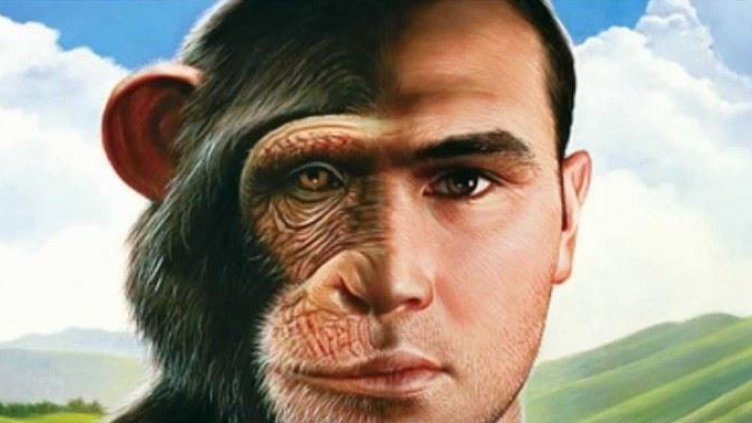 Американо-китайска научна разработка: Кръстосаха човек и маймуна!