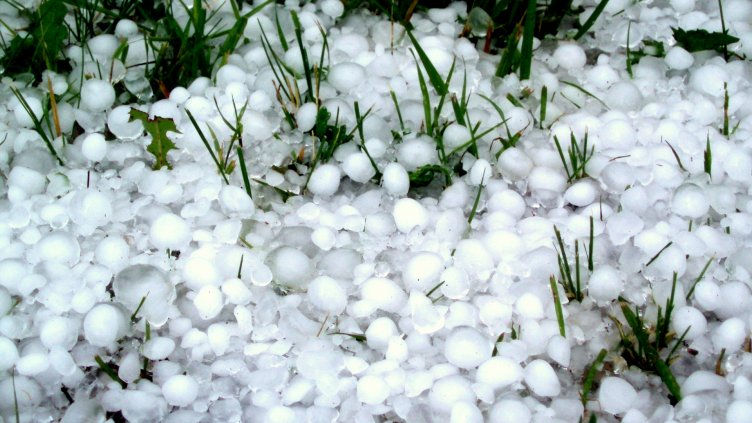 Реколтата застрашена, ракетострелците готвят протест