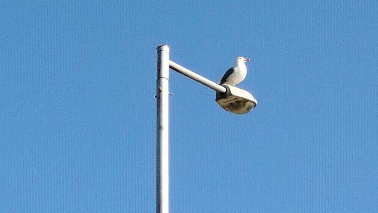 Слънчево време на много места в понеделник