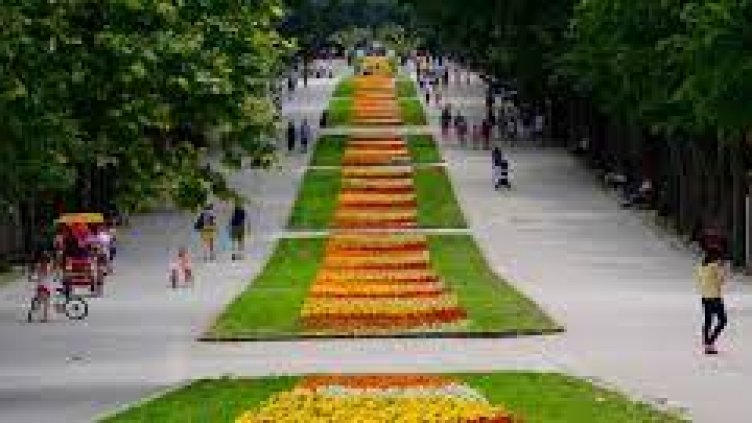 Събота е Ден за размисъл