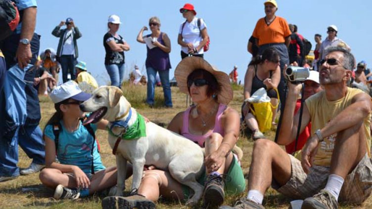 Снимка БГНЕС