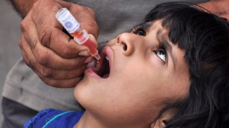 Подобен на еболата вирус взима животи