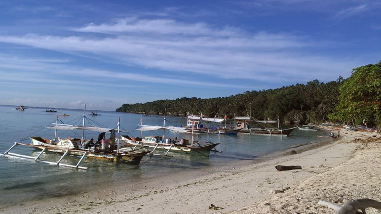 Заради военните учения няма прясна черноморска риба