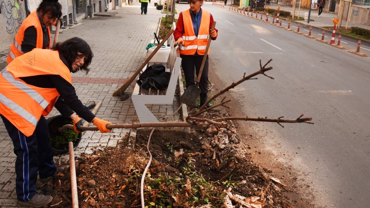 Засаждат нови дървета в стари дънери на ул. „Колони“