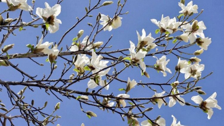 Прогноза за времето за 2 май на тв Черно море