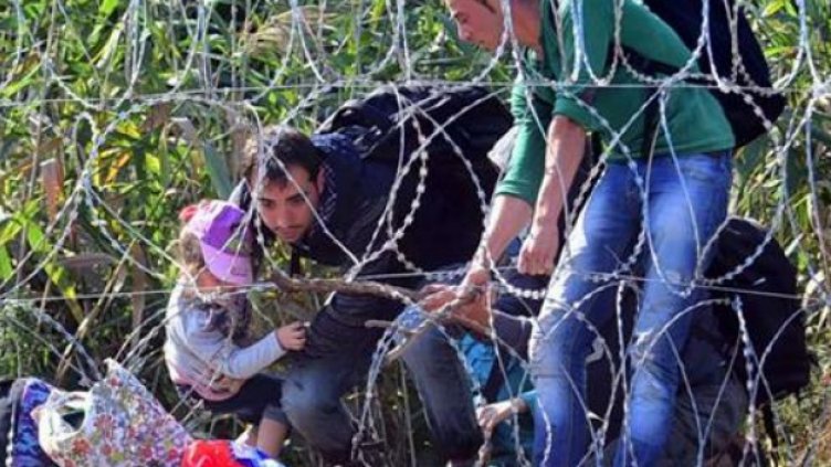 Нови 43-ма нелегални мигранти заловиха в София