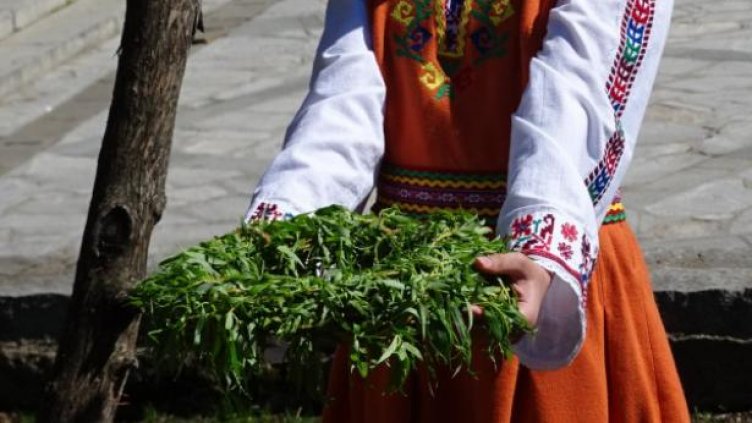 Цветница е!