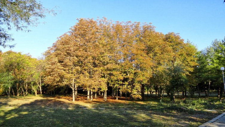 Сиромашкото лято и днес