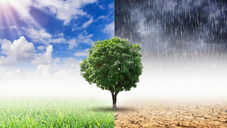 Апокалиптични промени на Земята през идните 20 г. Какво ни предстои?