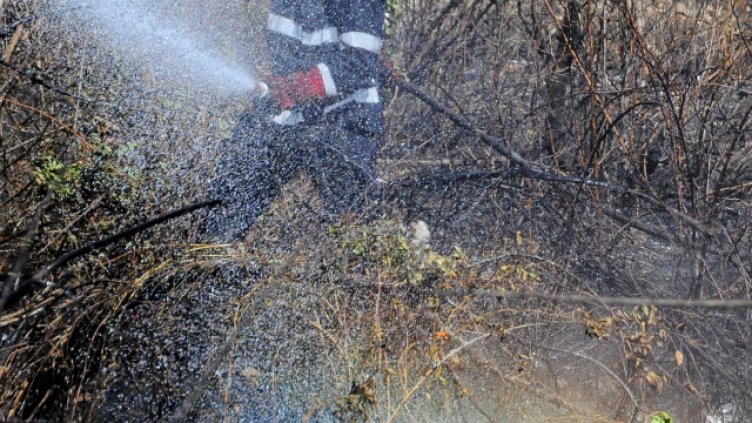 Психично болен подпали треви край варненско село