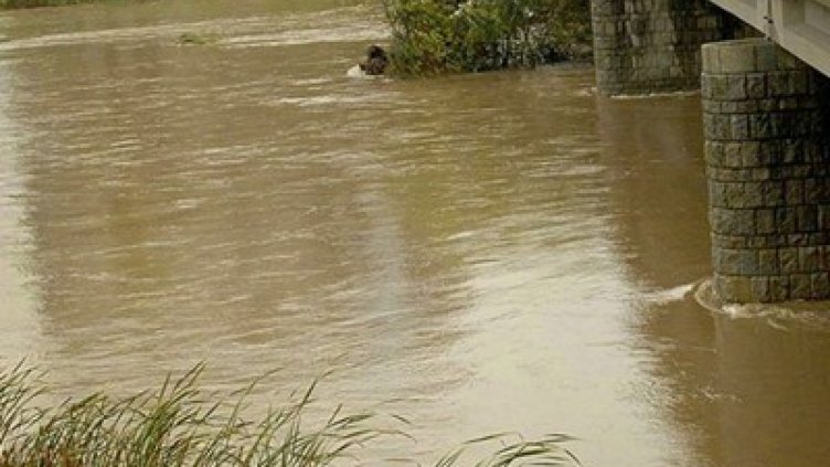 Спасиха от удавяне в Марица 111 мигранти