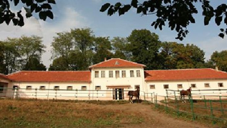 Най-старият конезавод в България стана на 160 години (СНИМКИ)