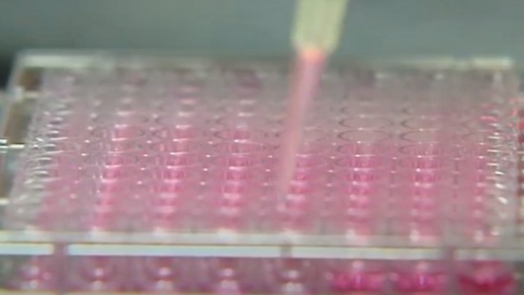 Първите ваксини срещу COVID-19 пристигнаха в Румъния