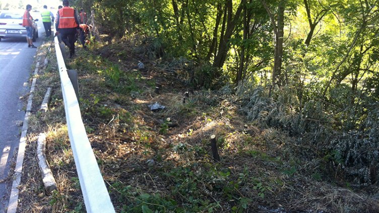 Разчистват АМ „Хемус“ от храсти