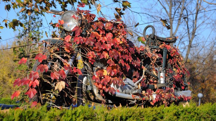 Мото атракцион в Морската (СНИМКИ)