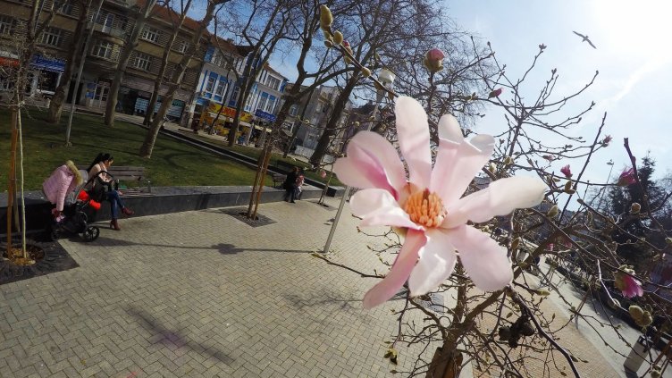 На 8 март времето ще бъде ясно и слънчево