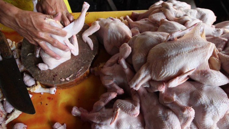 Агенцията по храните ще взема проби от всяка пратка с птиче месо от Полша