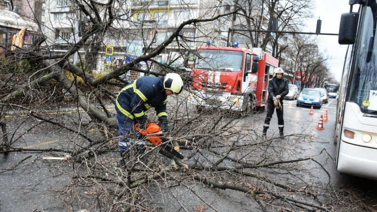 Силният вятър събори дървета, светофари и рекламни пана във Варна