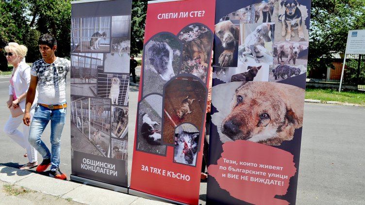 снимки: Ели Маринова