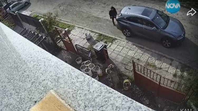 Жена отвлече домашна котка с джип (ВИДЕО)