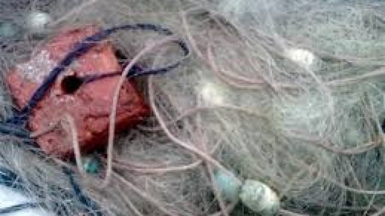 Иззеха 600 метра бракониерски мрежи