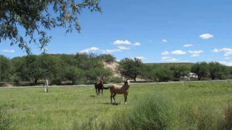 Американски бизнесмен продава малко градче за 400 000 долара