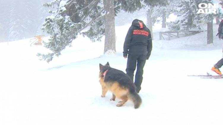 Снимка bgonair.