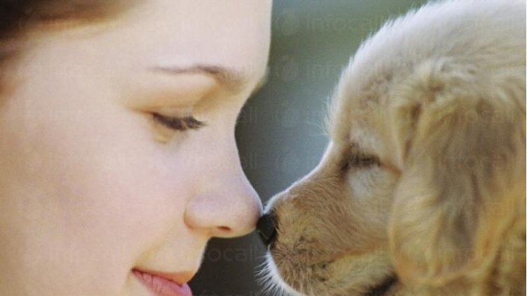 В СУ „Пейо Яворов“ във Варна организират зооизложба на домашни любимци