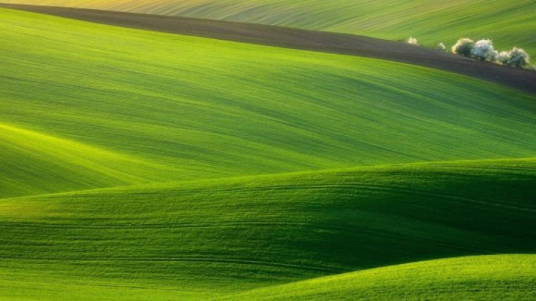 ЕК предупреди България за сделките със земеделска земя