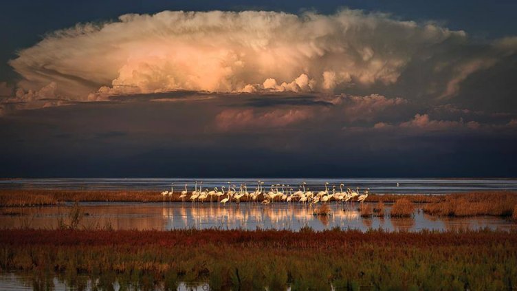 България получи признание от ЮНЕСКО за добро управление на четири резервата