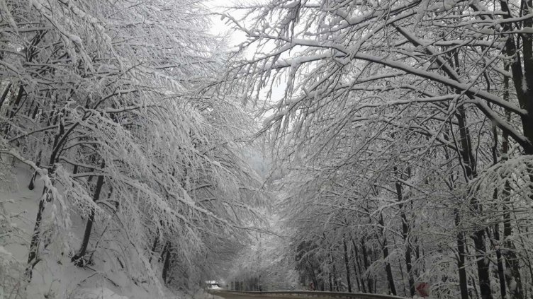 Близо 440 снегопочистващи машини обработват пътните настилки