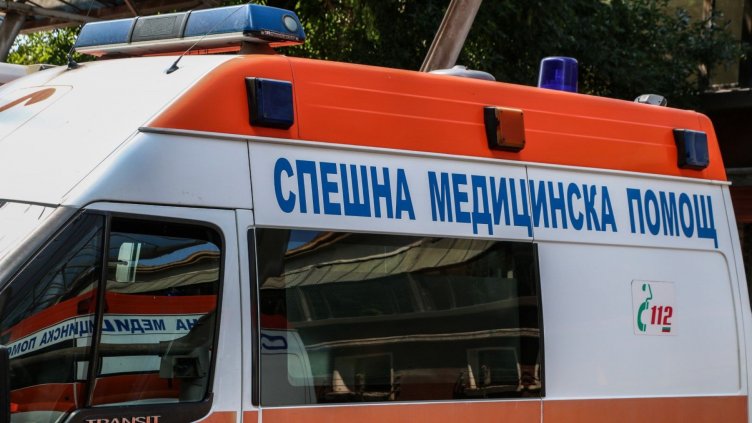 Жена повика Спешна помощ за "нападнато от мечка момче"