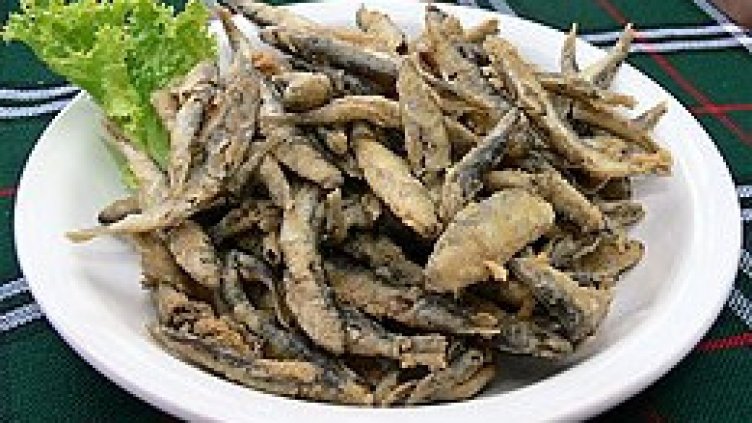 90% от улова на цаца се изнася от България