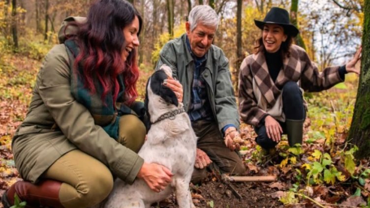 Снимка: Cappelletto/getyourguide