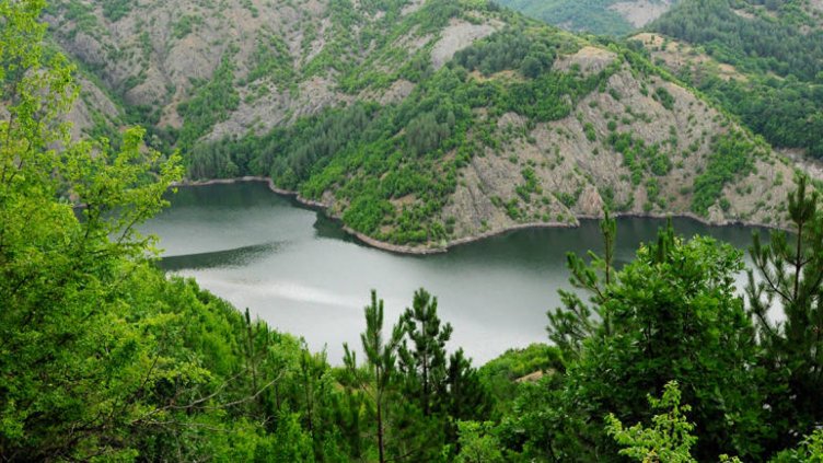 Работодатели искат участие в управлението на мрежата Натура 2000