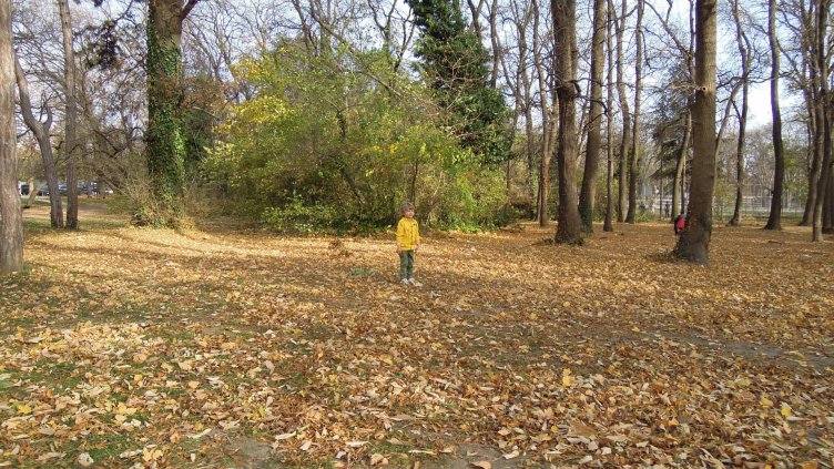 През целия ден ще е слънчево