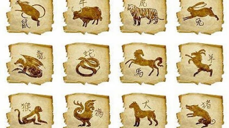 2019 – годината на Земния глиган