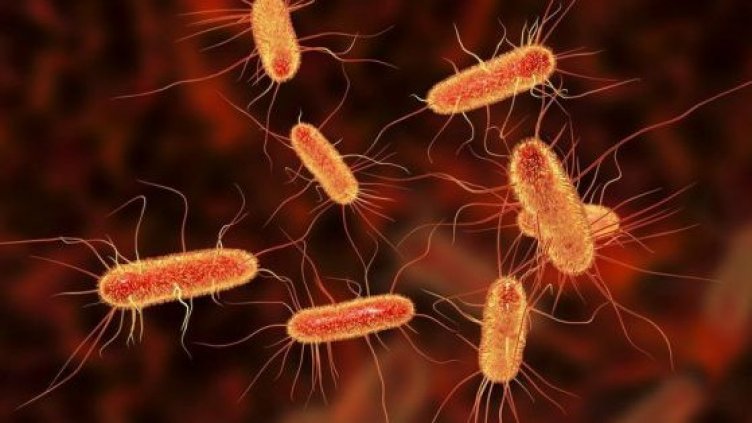 16-то дете издъхна от бактерията на Острова