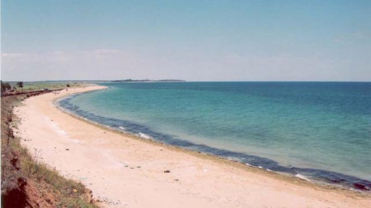  Ама палачори сме и това си е