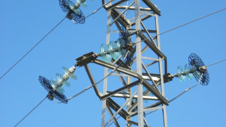 Енергото монтира 635 птицезащитни средства по електропроводите