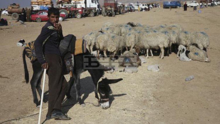 Над 50 убити и 30 ранени при атентат край Багдад