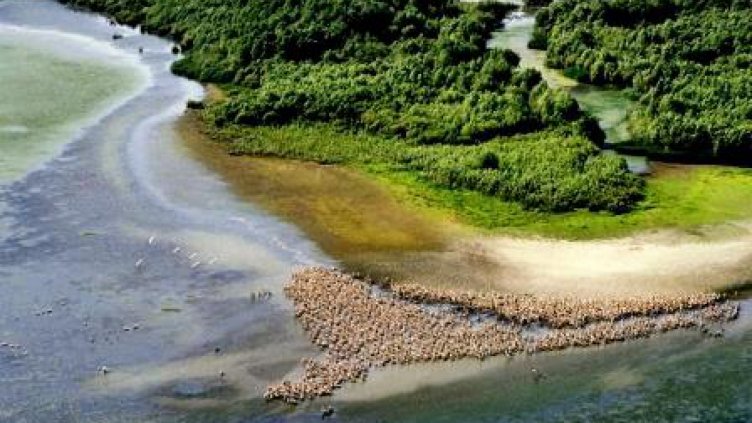 МОСВ: Нивата на реките се понижават!