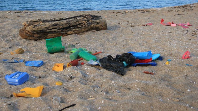 Българският плаж: фасове и пластмаса