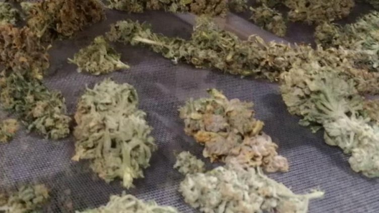 Арестуваха двама с трева във Варна