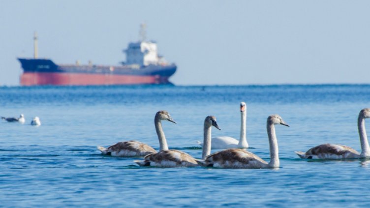 Ясно, слънчево и топло във Варна днес