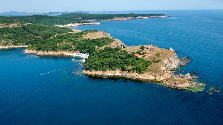 „Грийнпийс“ иска създаването на първия резерват в Черно море в района на Маслен нос