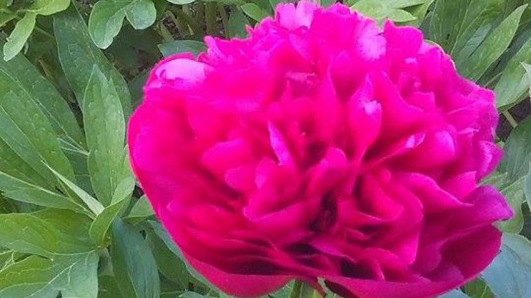 Слънчева събота се задава