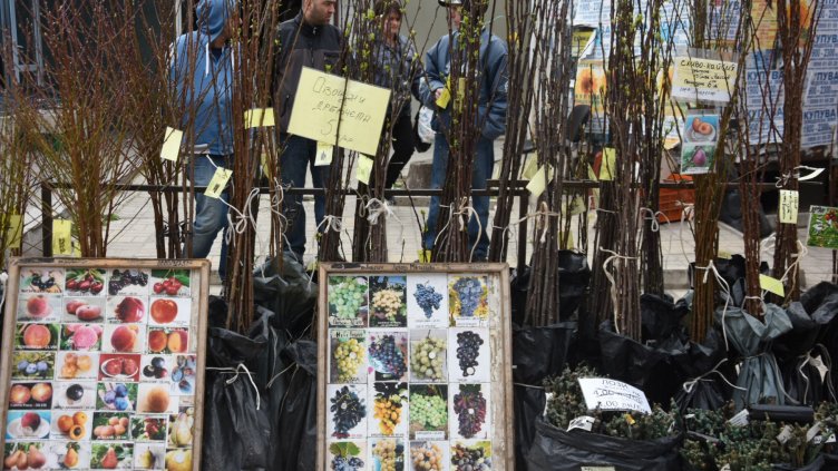 Овошките вървят по 5-6 лв. на пазара във Варна